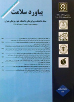 AWT IMAGE